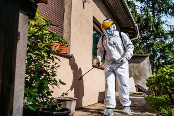 Best Wasp Removal Services  in Leesburg, FL