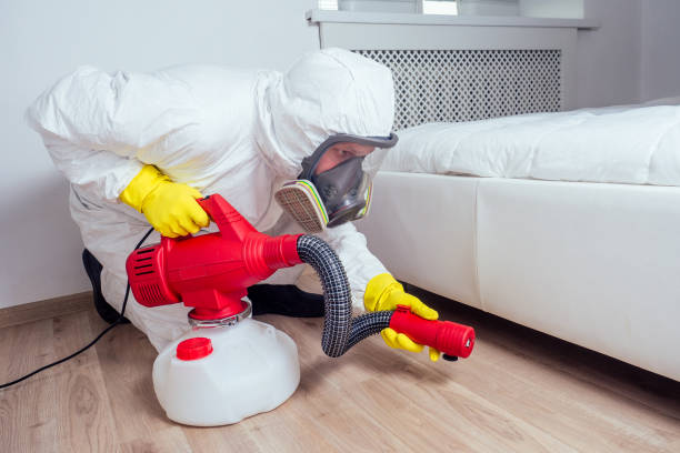 Best Rat Extermination Near Me  in Leesburg, FL