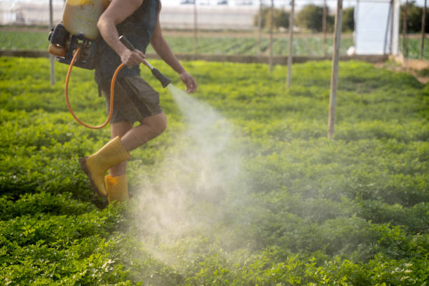 Reliable Leesburg, FL Pest Control Solutions