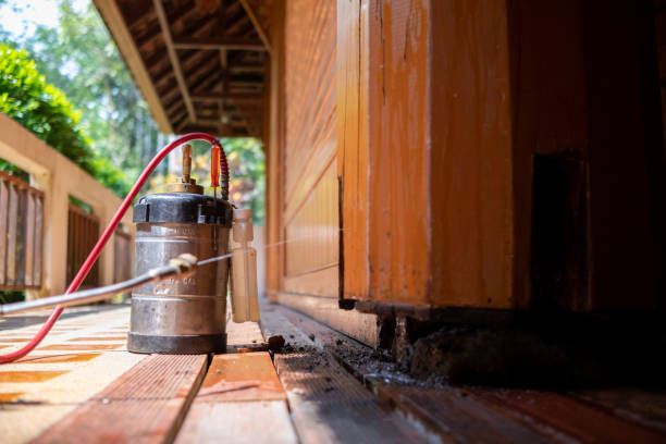 Best Local Pest Control Services  in Leesburg, FL