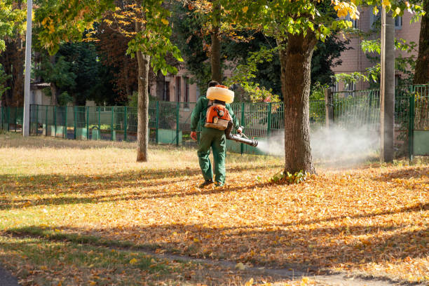 Best Emergency Pest Control  in Leesburg, FL