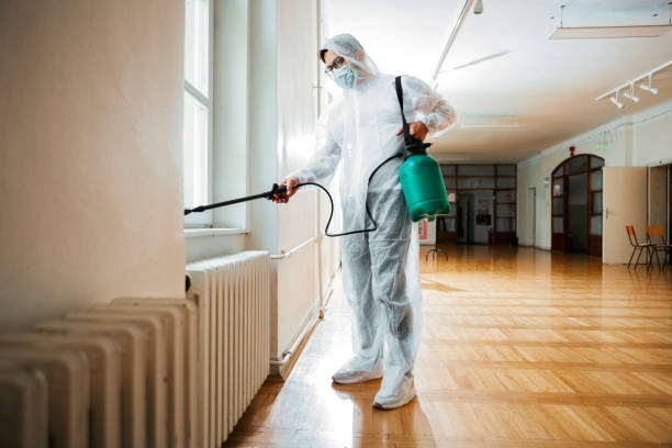 Best Best Pest Control Companies  in Leesburg, FL
