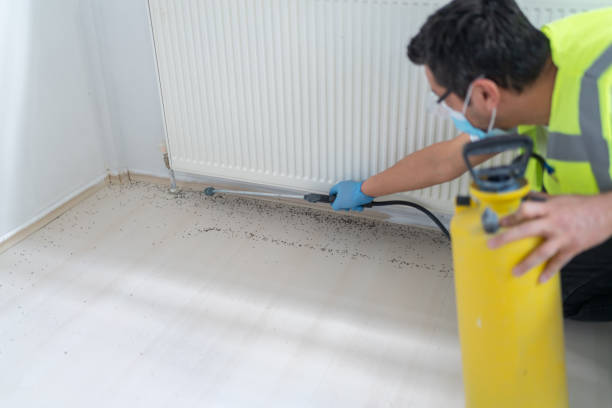 Best Exterminator Services  in Leesburg, FL