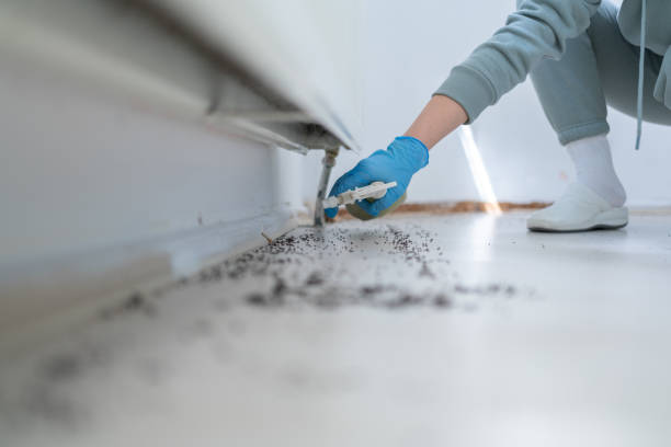 Best Bed Bug Extermination  in Leesburg, FL
